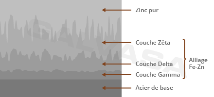 Gráfica Zinc